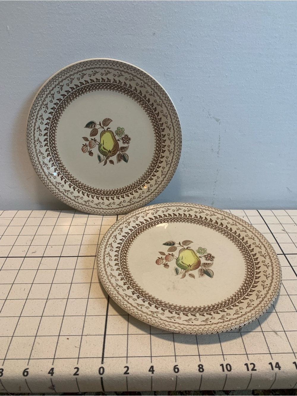 Pair of Vintage Johnson Bros “Fruit Sampler” Dinner Plates - Autumn Table Decor
